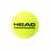 Head Tennis Ball Championship 24 cans | 72 Balls (3 Balls/Can)