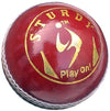 SM Rafter Leather Cricket Ball (Red)