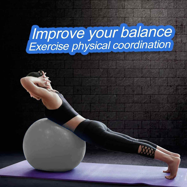 PROKYDE (LOGO) Prokyde Anti Burst Gym Ball for Yoga and Fitness with Foot Pump 55cm (Silver)