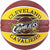 Spalding Cavaliers Basketball – Best Basketball in India(Multi Colour)