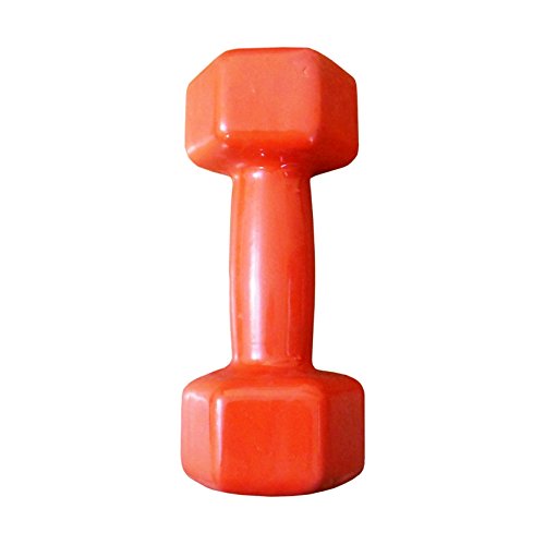 dumbbell workouts at home| Durable vinyl dumbbell |best dumbbells workout routines