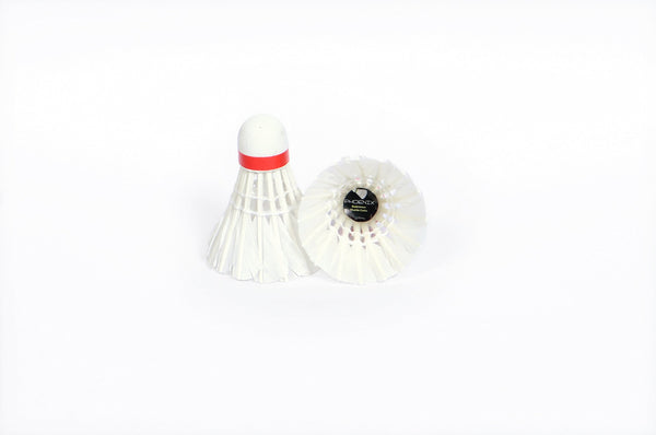 Buy Shuttle Cocks Online | Best Shuttle Cock Price for Badminton Shuttlecock Game |Low Shuttle Cock Price, High Performance