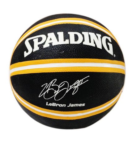 Spalding Lebron James, Size 7 (Multicolor)