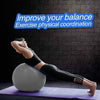 PROKYDE (LOGO) Prokyde Anti Burst Gym Ball for Yoga and Fitness with Foot Pump 55cm (Silver)