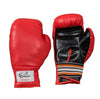 Prokyde Rookie Boxing Gloves