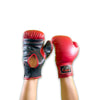 Buy the Best Boxing Gloves Online |boing gloves |buy online boxing glove 